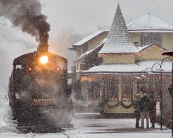 17630    christmas spirit New Hope 2-.jpg