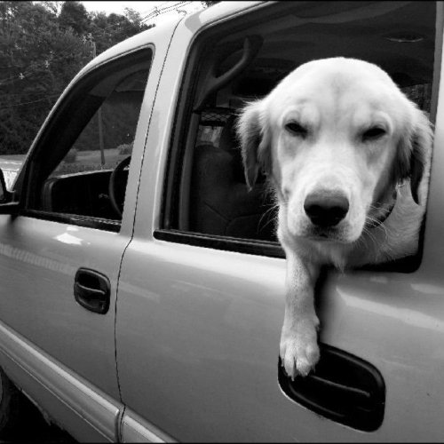LS - looking sleepy x1000s2.jpg