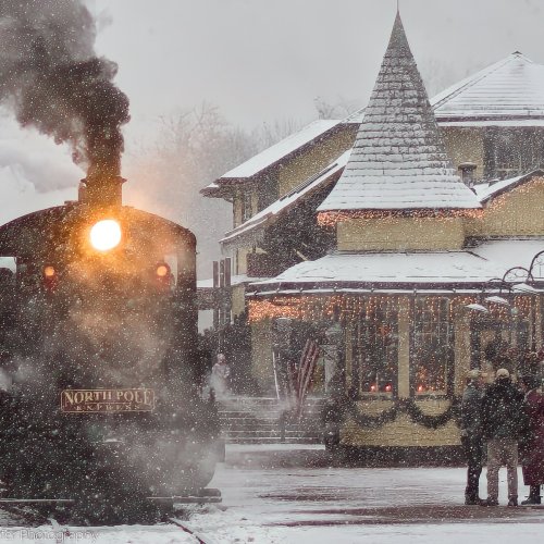 17630    christmas spirit New Hope 2-.jpg