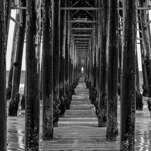 2026_01_22uncer the pier Oceanside 2560 BW-.jpg